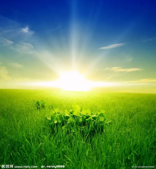 红林主人红语堂十言集第二十七章