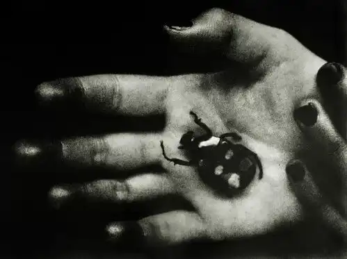 捕捉女性另类美,震撼感像一场梦