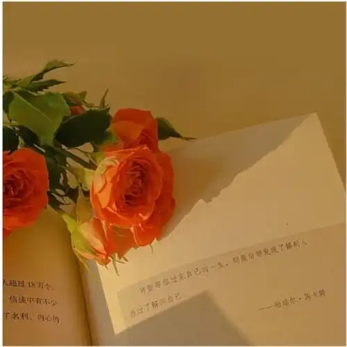 干净舒服的高质量神仙文案