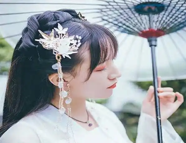 12星座专属古风发簪水瓶座是紫色花,双子座是红色玛瑙石