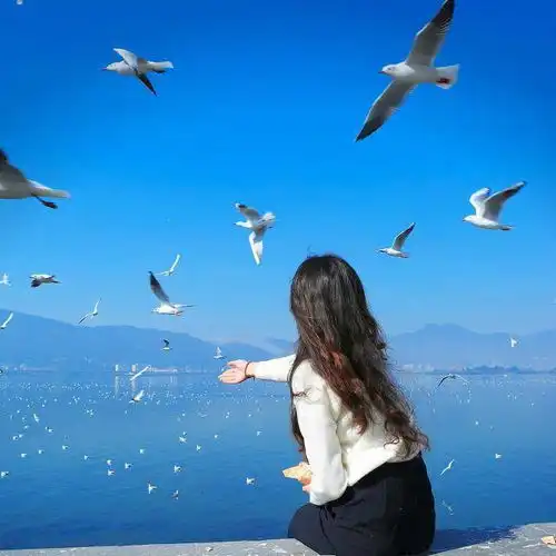 2月3日2月13日,福运连绵,财星高挂,桃花扎堆来的3大生肖