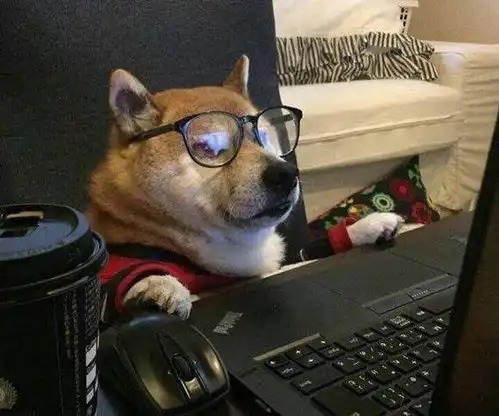 韩语论文资料不好找因为你没有正确掌握知网和riss的绝杀检索技巧