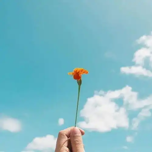 大彻大悟看透人生的经典语句