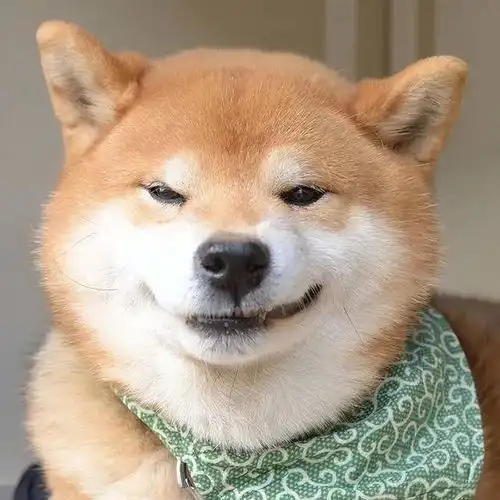 笑不活了管泽元世界杯持续发力,真的这么邪门