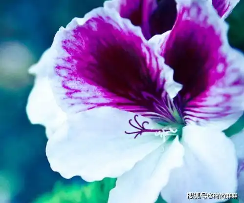 4月心想事成,财运滚滚来,发大财