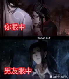 同样是魔道祖师,你眼中vs男友眼中,网友铁杆道友才懂的死梗