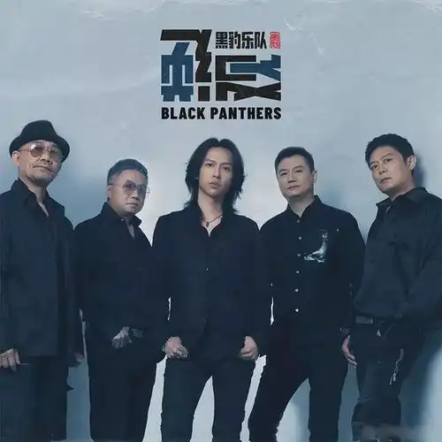 张淇与黑豹乐队凝视困境,保持清醒