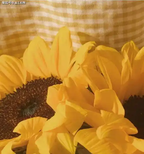 不要害怕孤独,因为这个世界上有一个人,正在努力走向你