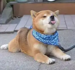 一个男生在打游戏但秒回了一个女生的消息,这代表着什么