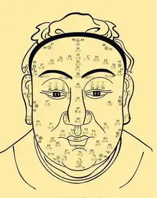 神断这样的面相运势初期颓败但势必会反败为胜