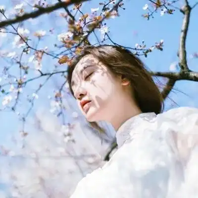 值得推荐的言情小说入坑古风向