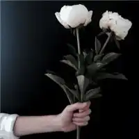 精选男女头像电脑壁纸qq皮肤系列美图