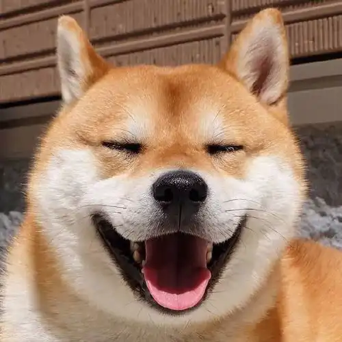 各种类型的闺蜜头像