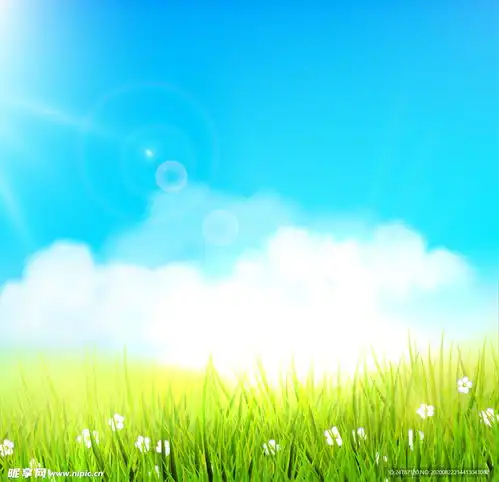 花草插画设计图自然风光