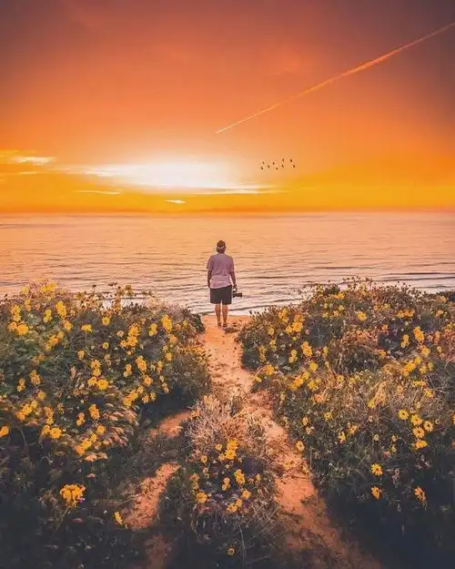 也许你需要换个个性签名了