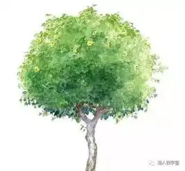 种下十里香樟林明天,你还可以去这些地方植树