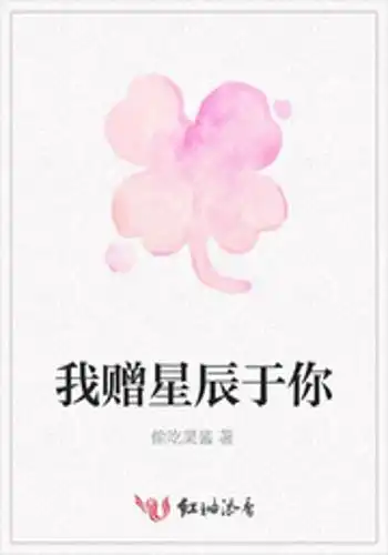 我赠星辰于你