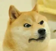 求秋田犬斜眼表情动漫头像