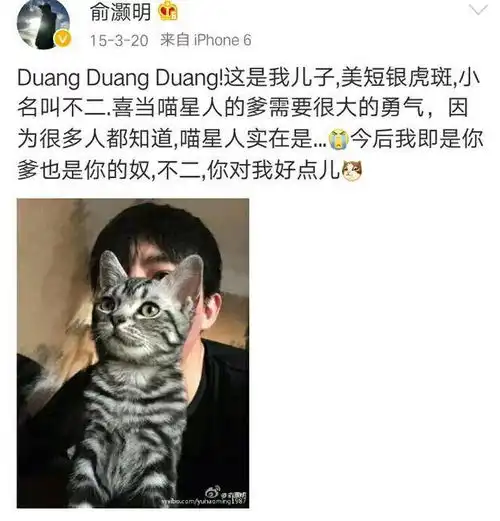 07年快男再聚首,陈楚生发红包,张远怼苏醒不留情