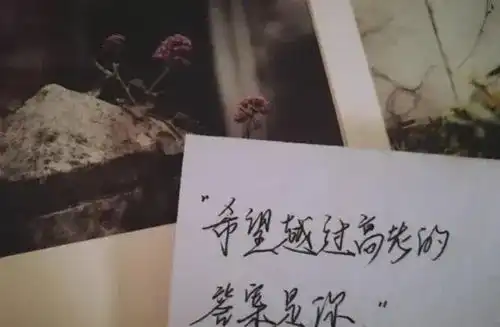 情绪文案追爱者一事无成,爱财者风生水起