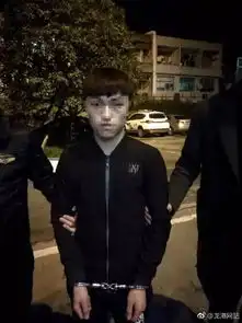 4男子对情侣报复抢劫,苍南警方48小时破案