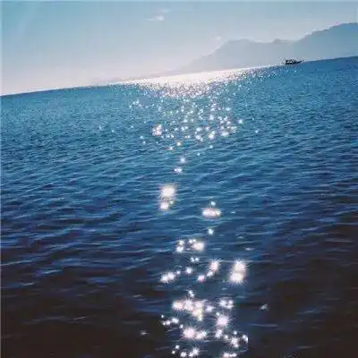 话题唯快不破回音壁二