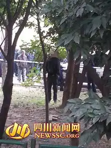 成都一男子在小树枝上用钢丝吊死现场疑点重重