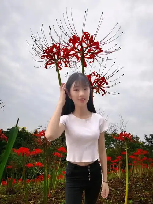 旺夫的女孩