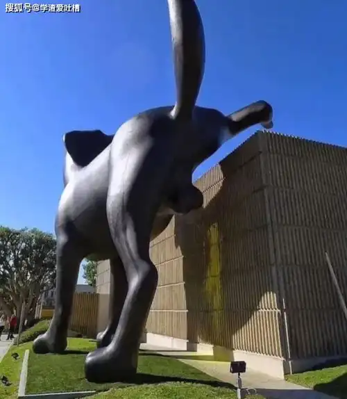 男朋友送我一件很暴露的上衣这什么都遮不住啊