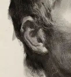 临摹完这些素描头像,保证考试你能拿高分