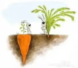 肯定有一张图是在说你