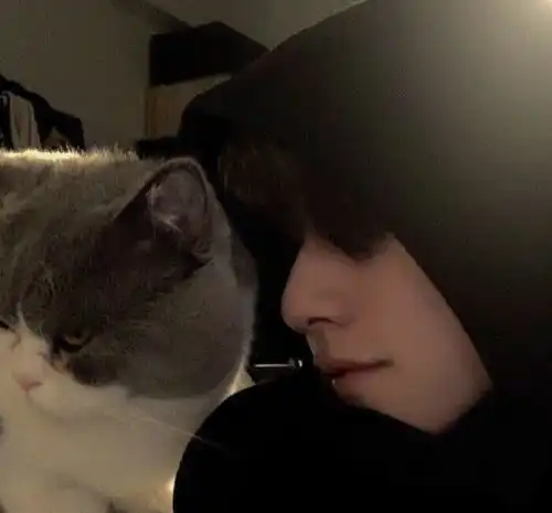 男生头像一约既定,万山无阻