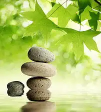 石头绿叶水波波纹风景装饰画意境图片设计素材高清模板下载9.88mb植物花卉装饰画大全