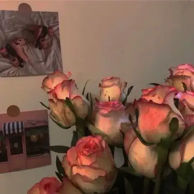 花开花落谁能陪我一年又一年