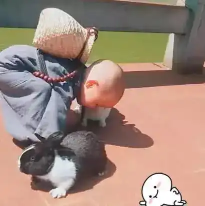 继lucky火了后,又一萌娃小和尚走红抖音,生怕兔子想不开