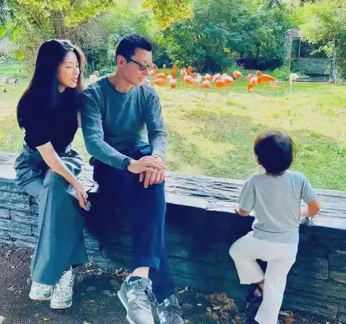 朱珠一家三口逛环球影城被偶遇,网友3岁珠宝很可爱,朱珠好瘦