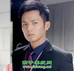 最新男士发型图片,2017年最新男士发型图片发型图片