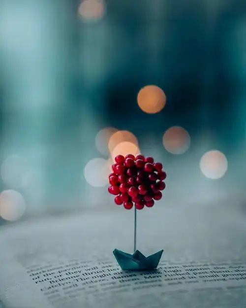 心情复杂的伤感语录