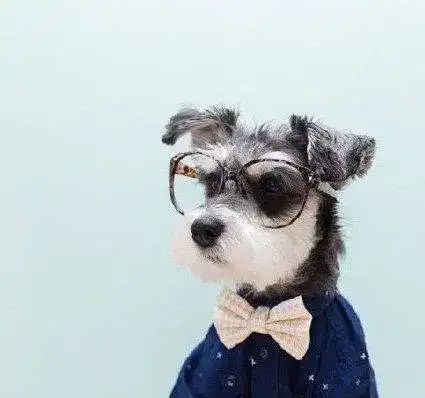 十二月朋友圈最火的一句话,简短精湛,人人点赞