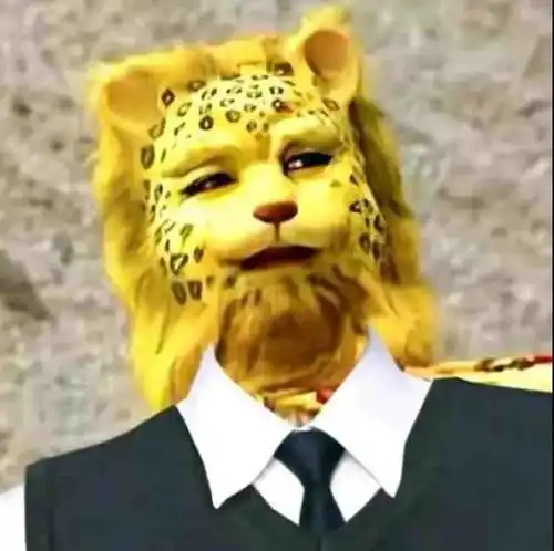 热门金钱豹合集