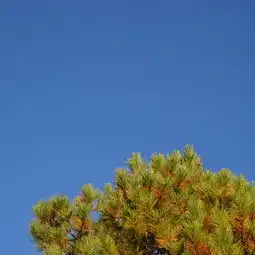 2019茶马古道门票,丽江茶马古道游玩攻略,茶马古道游览攻略路线地址门票价格