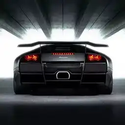 微信头像你可以选择爱或不爱我,而我只能选择爱或更爱你