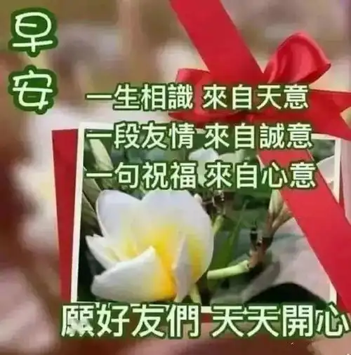 去体会去拥抱眼前的幸福,就会比别人活得更富足,更快乐,早安