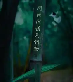 问世间情为何物这篇诗歌让你大彻大悟