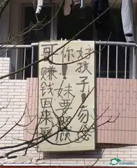大学生雷照节操掉一地