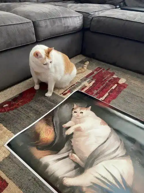 轻松一刻男人的手该去打江山,而不是打女人