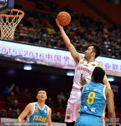 组图山东主场战胜福建比斯利欲演单臂大风车8230577