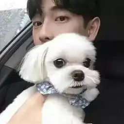 有没有帅气的qq头像