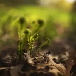 14岁摄影师的趣味摄影曾经年少