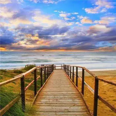 中老年头像大全微信最吉利的好看头像风景花草